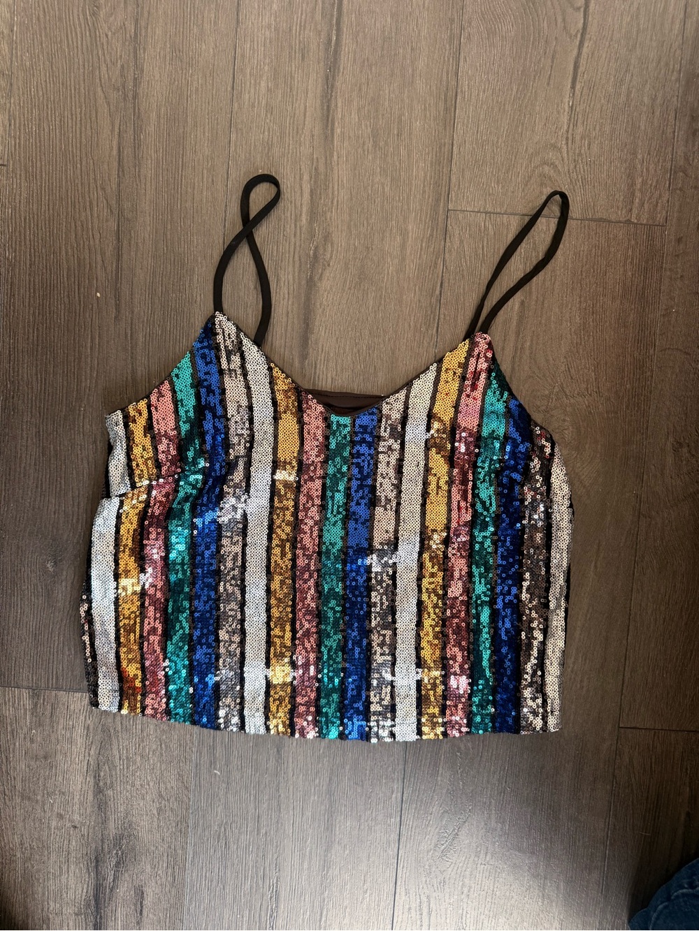 free press Multicolor Sequin Striped Tank Top